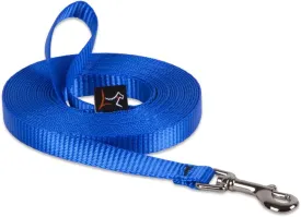 1/2in Blue 15ft Training Leash