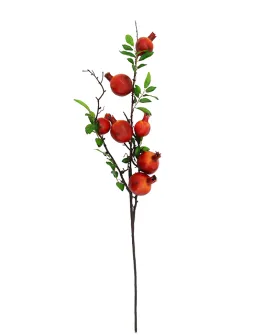 5502-7222,Pomegranate plant & Fruit