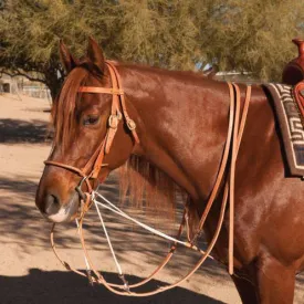 AL Dunning Tack German Martingale