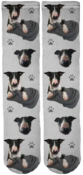 Bull Terrier Harper Crew Socks