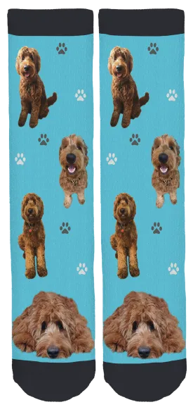 Charlie the Goldendoodle Crew Socks