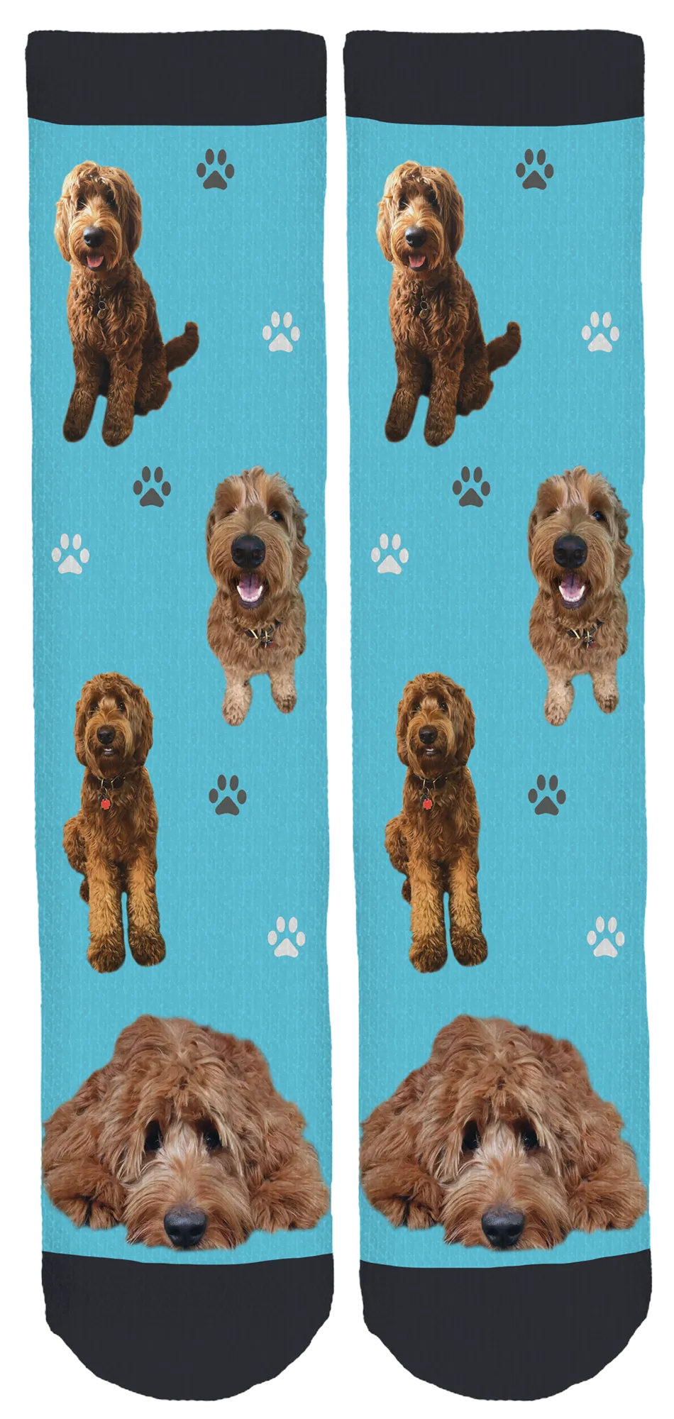 Charlie the Goldendoodle Crew Socks