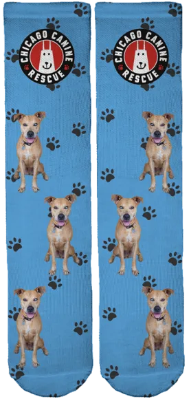 Chicago Canine Rescue Foundation Crew Socks