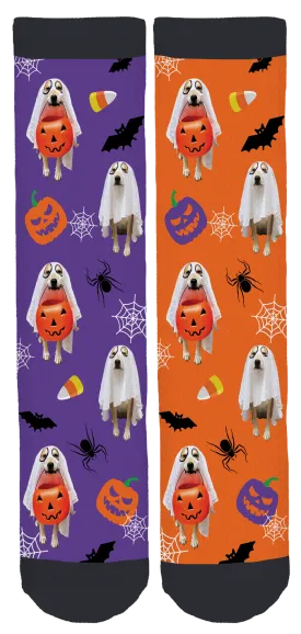 Finley Halloween Crew Socks